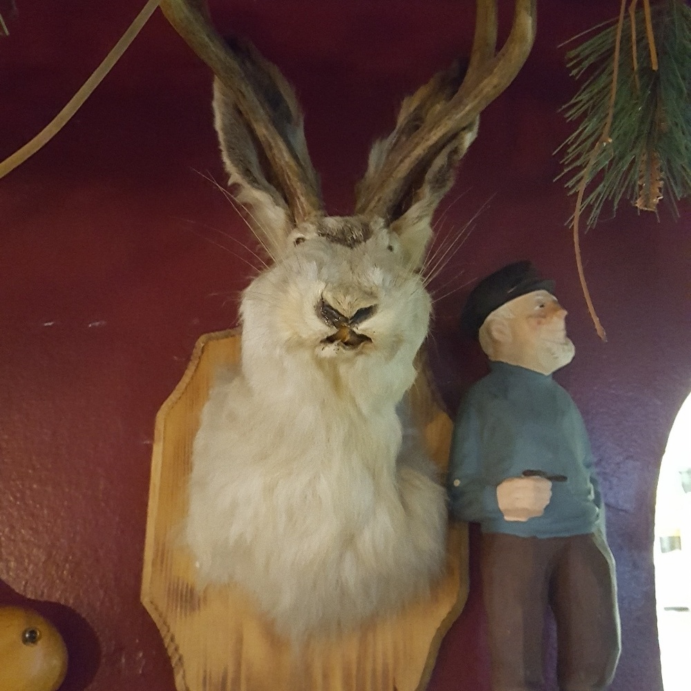 Meet your Posher, George